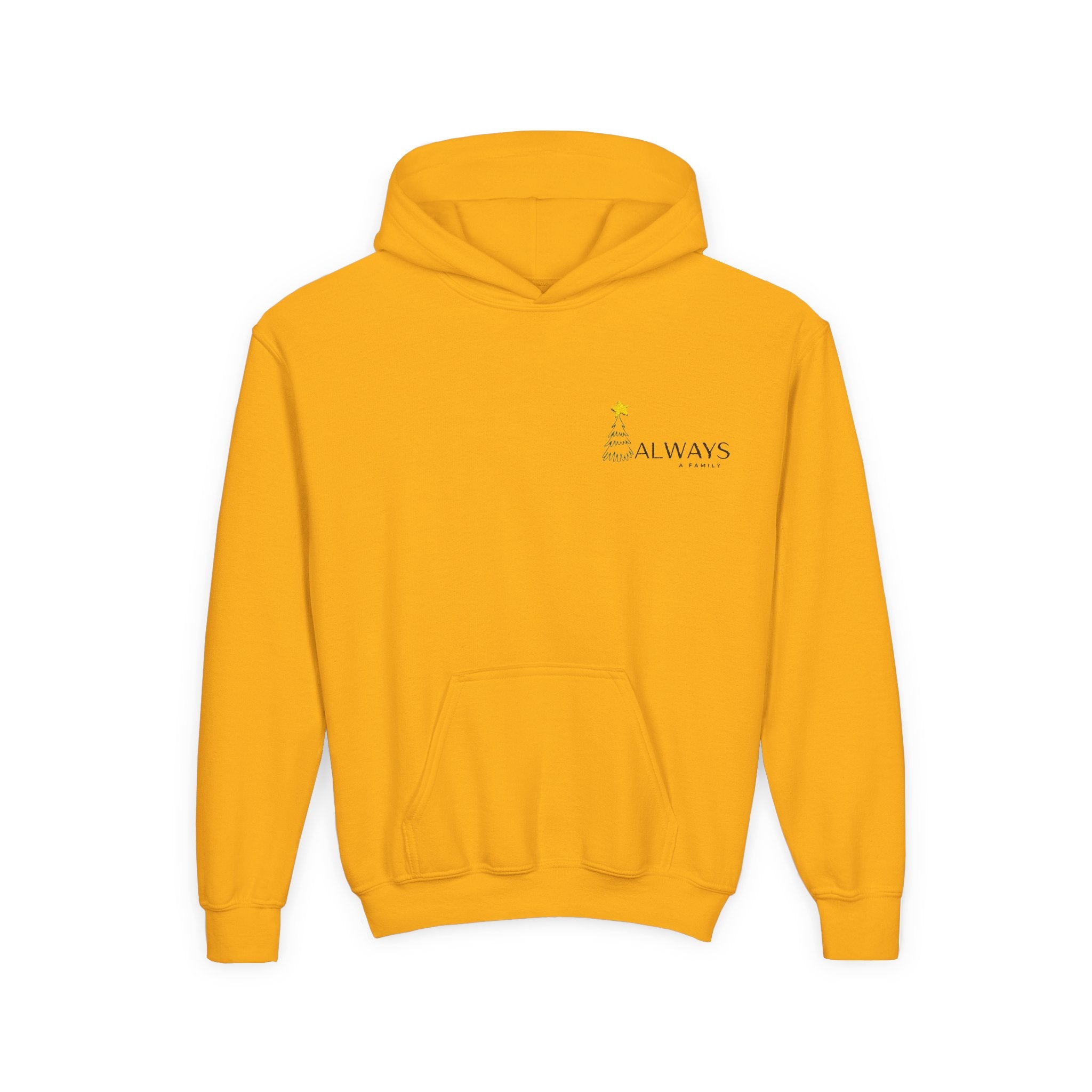 Youth Hoodie - Christmas Graphic