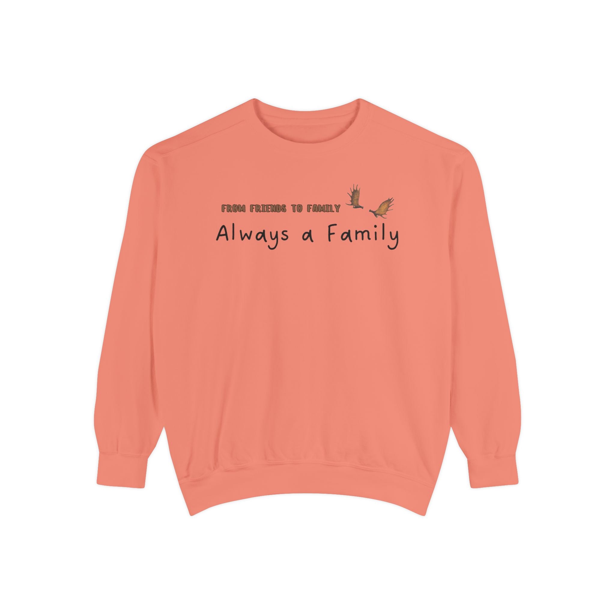 Friends to Family crew neck sweater